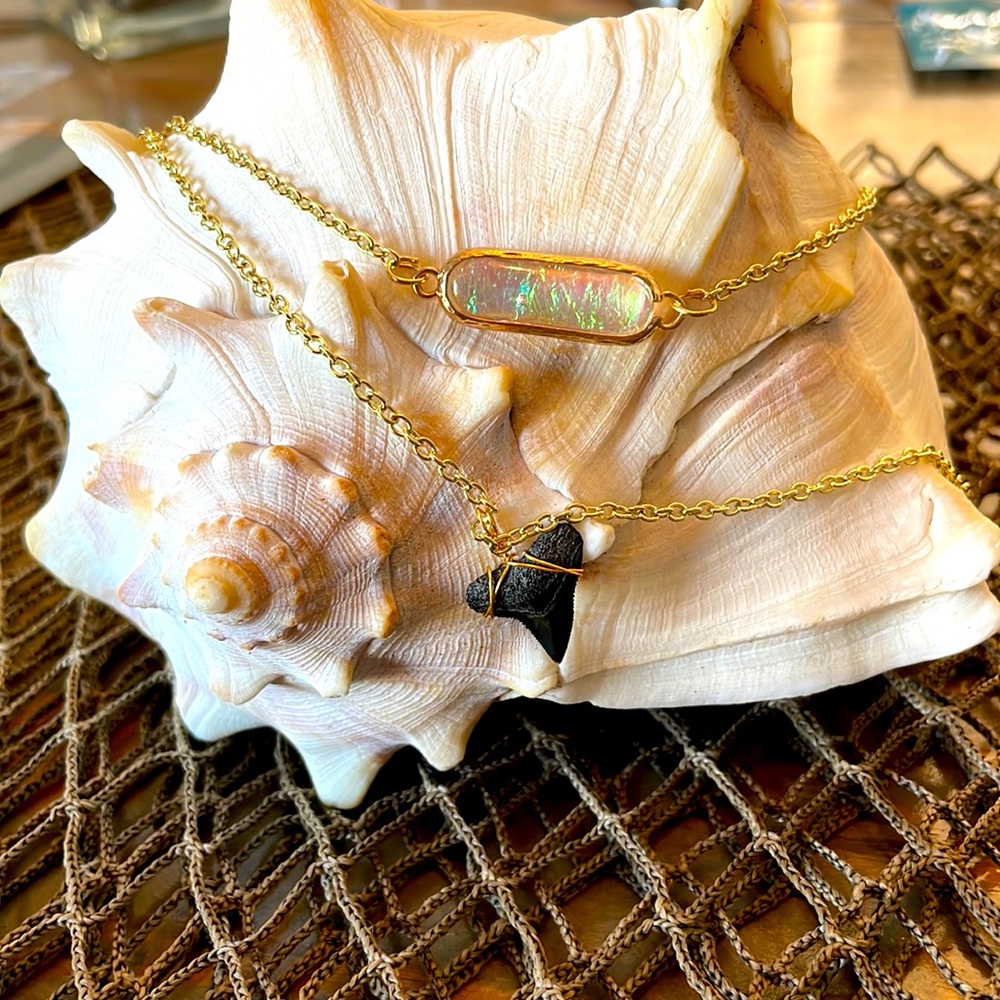 Handmade Shark Tooth Necklace